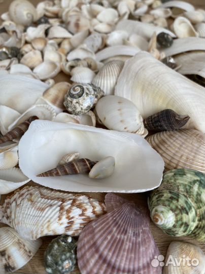 Бисер, бусины, полубусины, ракушки, камни