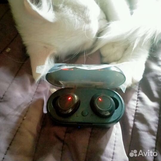 Новые беспроводные наушники