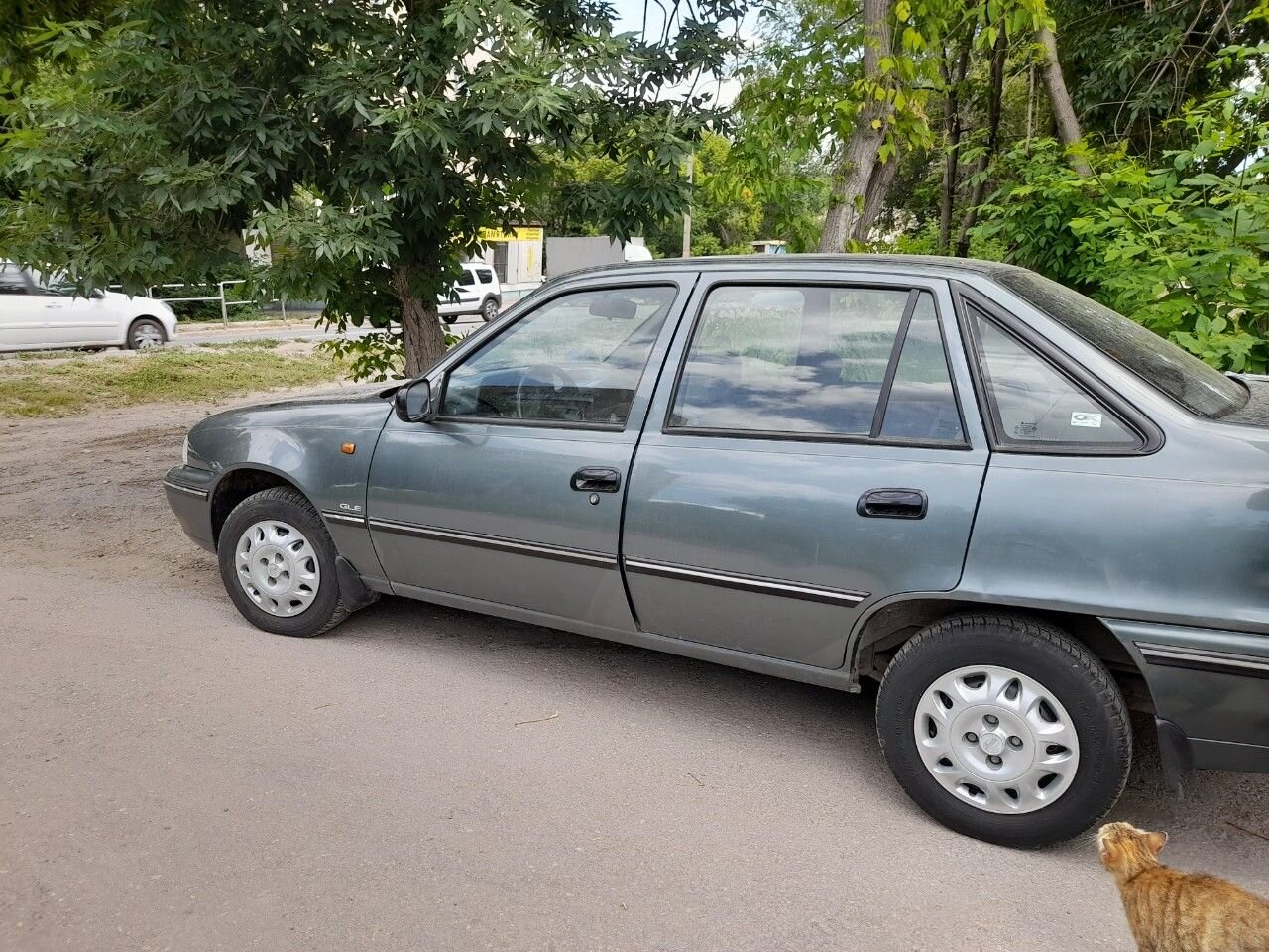 Daewoo Nexia: фото владельца