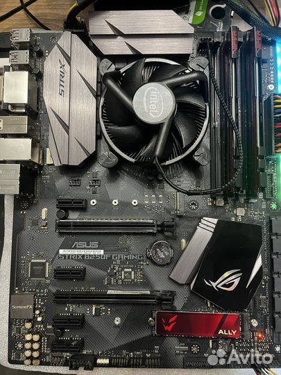 Asus strix b250-f gaming/g4400/box cooler