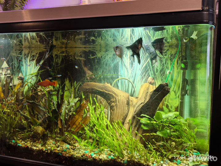 Аквариум
