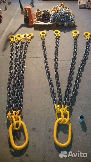 Цепные пауки