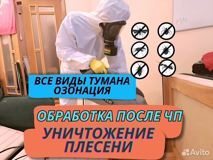 Уничтожение плесени, тараканов, блох. Дезинфекция