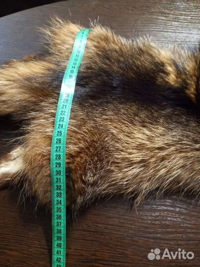 Шкура енота