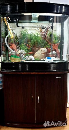 Аквариум