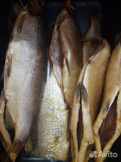 Рыба холодн. копчения, деликатес, чир, сом, щука