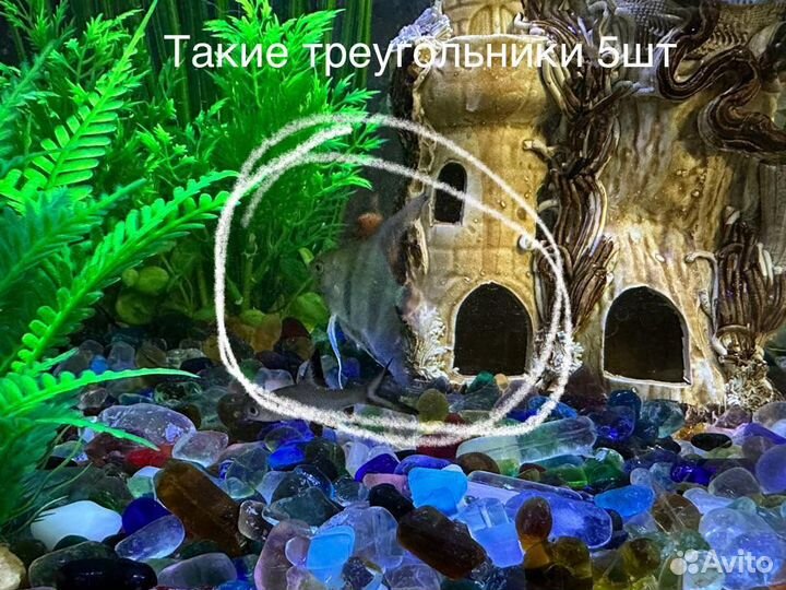 Рыбки для аквариума