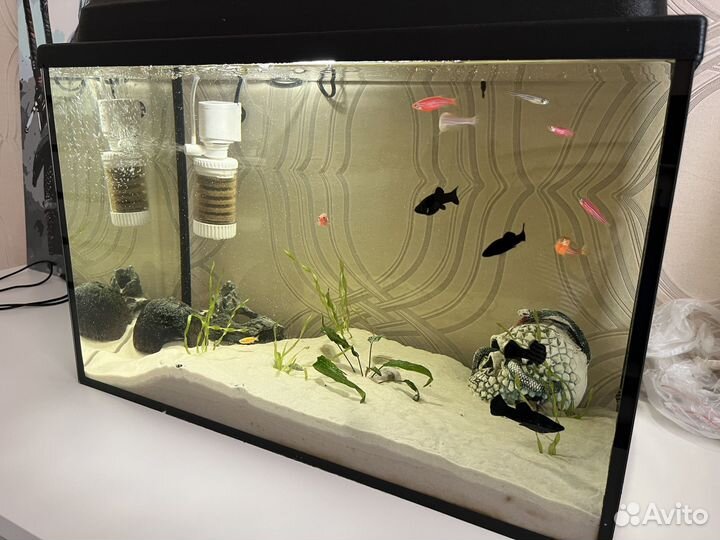 Аквариум 60л
