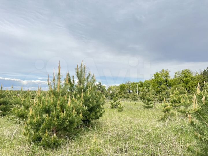 Участок 10 сот. (ИЖС)