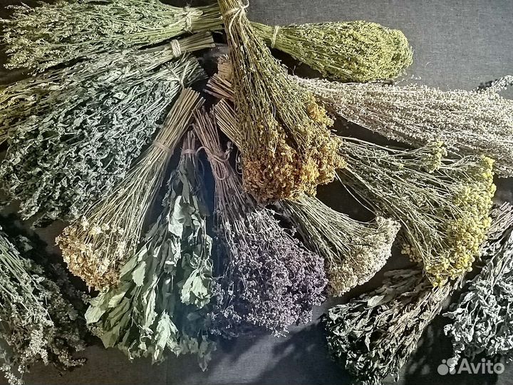 Травы. Грибы. Ягоды. Чага. Сбор 2023