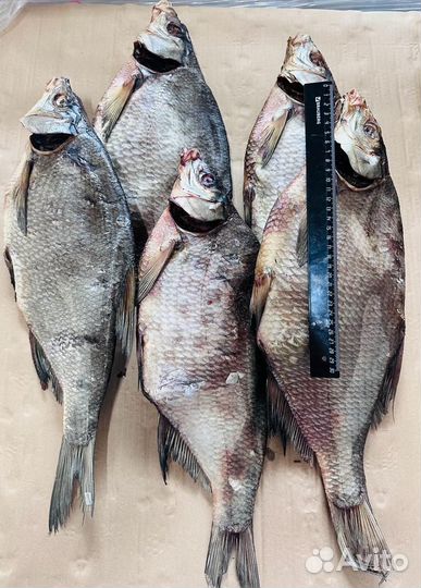 Лещ вяленый икряной подарочный