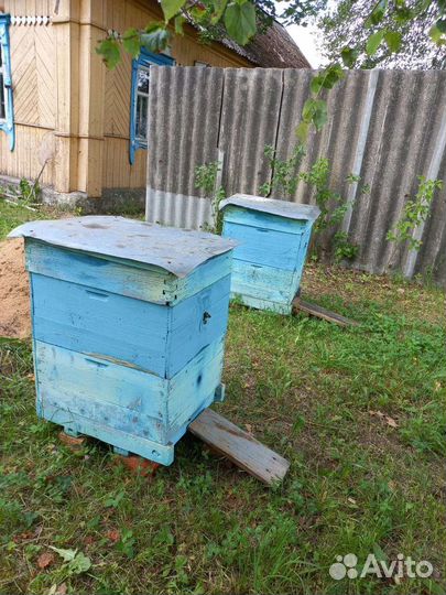 Продаются 10 ульев с пчелами многокорпусные