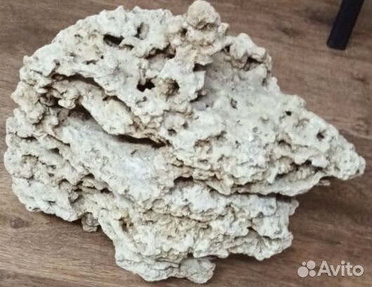 Камень Песчаник пещеристый. 40*40