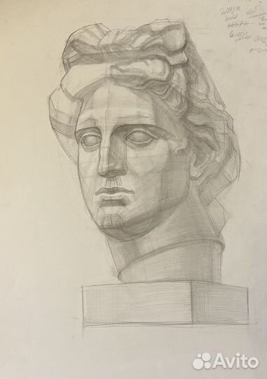 Учебная картина гипсовой головы Аполлона