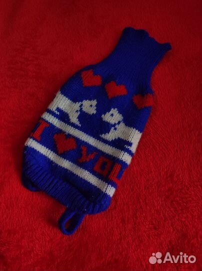 Одежда для собак мелких пород