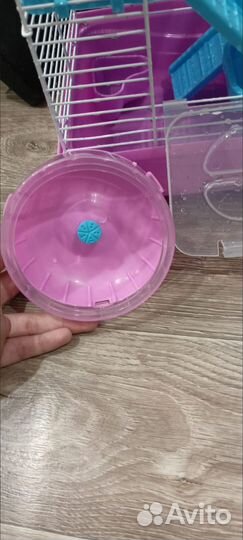 Клетка для джунгарского хомяка