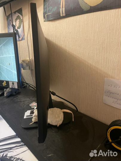 Монитор 100гц