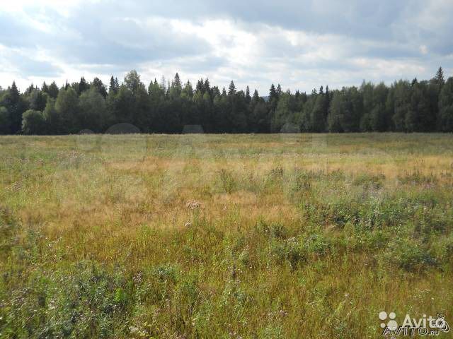 Участок 4,2 га (СНТ, ДНП)