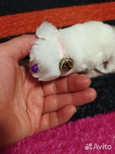 Игрушка для питомца