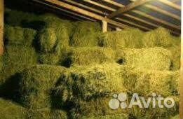 Сено - солома