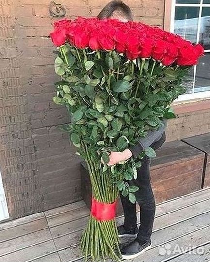 Розы Метровые 100 см доставка Москва