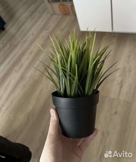 Фейка IKEA искусственное растение Новые