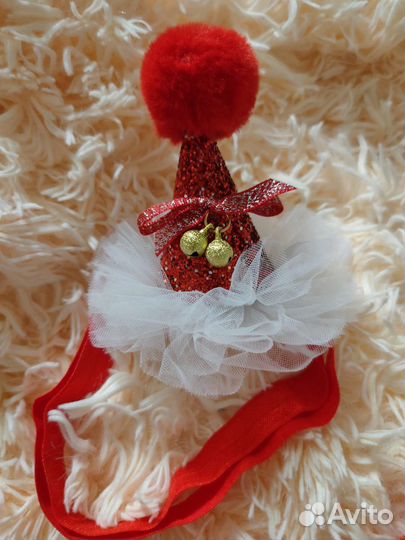 Одежда для собак