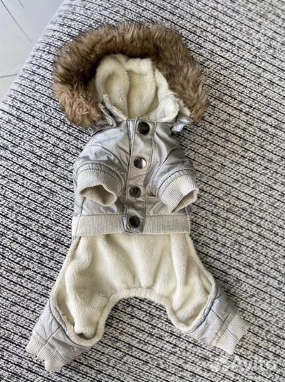 Одежда для маленьких собак xs