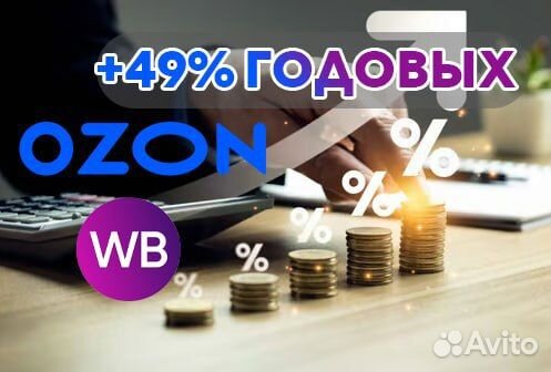 Инвестиции Ozon и Wildberries