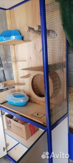 Витрина для грызунов