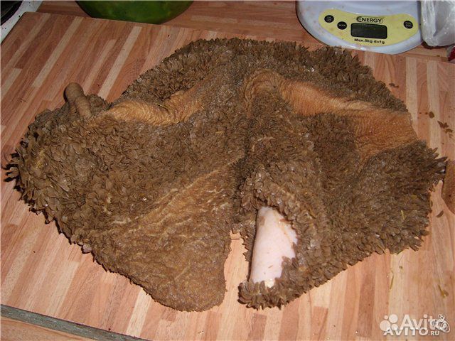 Мясо говядины