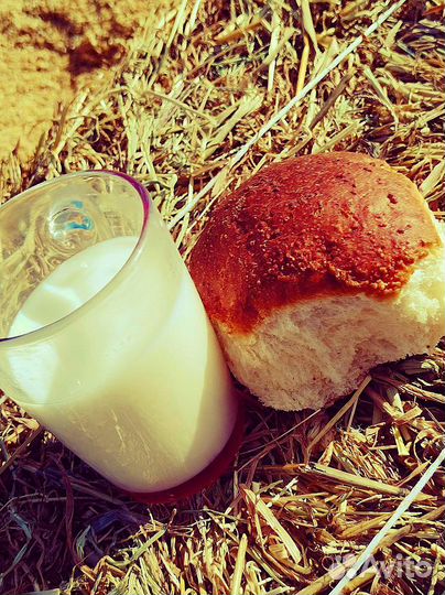 Парное молоко 4% 1.5л