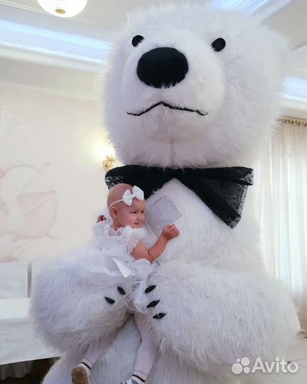 Белый мишка Умка. Поздравления на любое событие