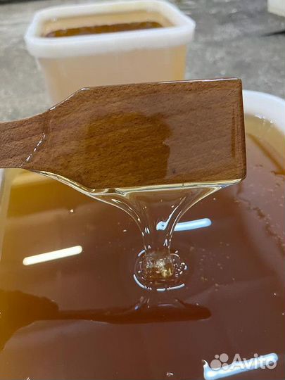 Майский мёд. Свежий, оптомКачка 2023г