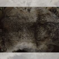 Шкурки животных