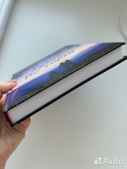 И эхо летит по горам Х. Хоссейни