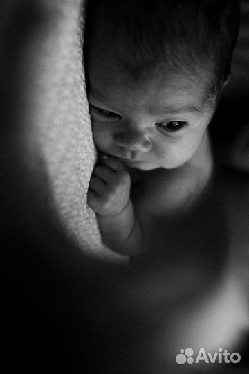 Семейный фотограф