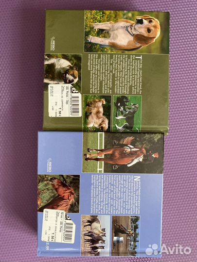 Породы лошадей