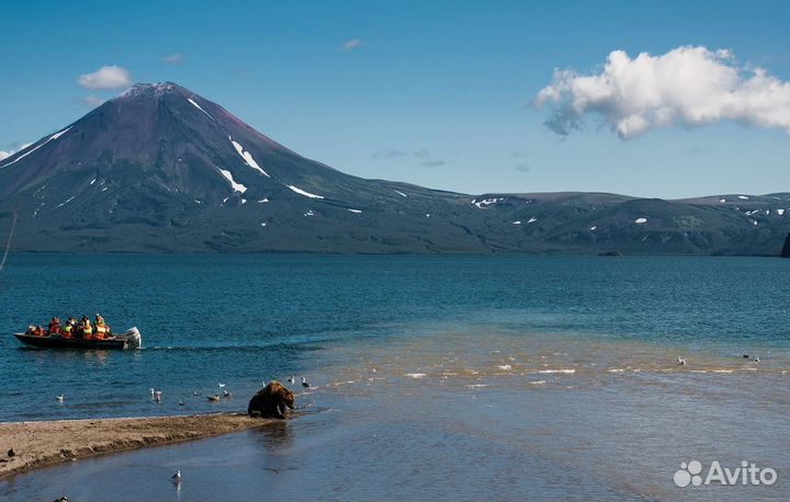 Тур путевка Камчатка лето 7-9 дн