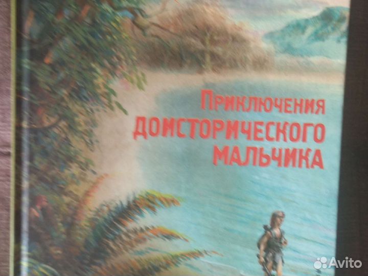 Книга Приключения Доисторического мальчика