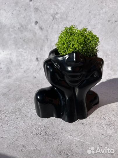 Кашпо со мхом