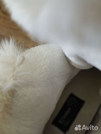 Ботинки женские демисезонные 35 размера