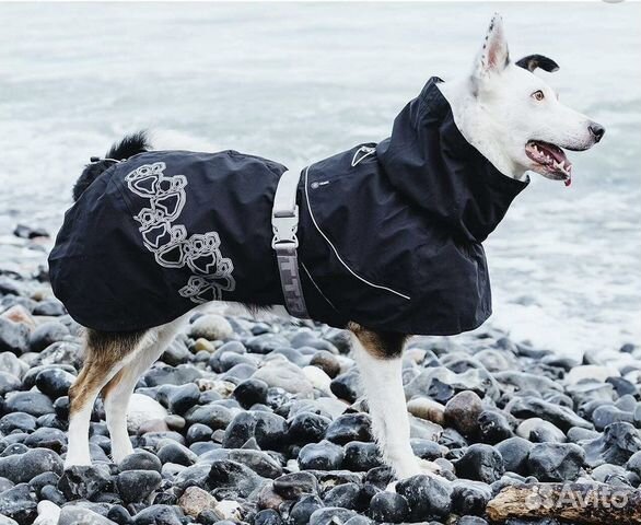 Плащ-дождевик для собак Hurtta Monsoon Coat купить в Москве | Животные ...