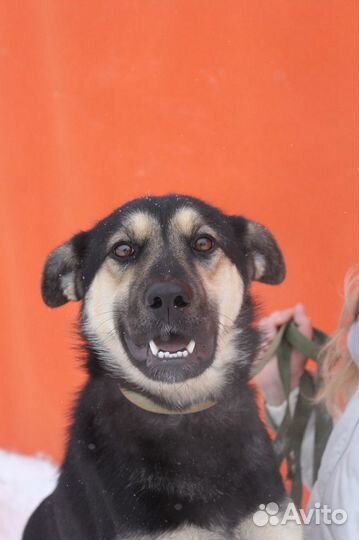 Малютка Рут не выживет зимой