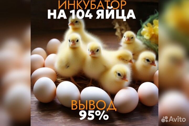 Инкубатор для яиц автоматический несушка