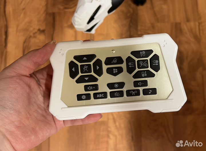 Динозавр на дистанционном управлении