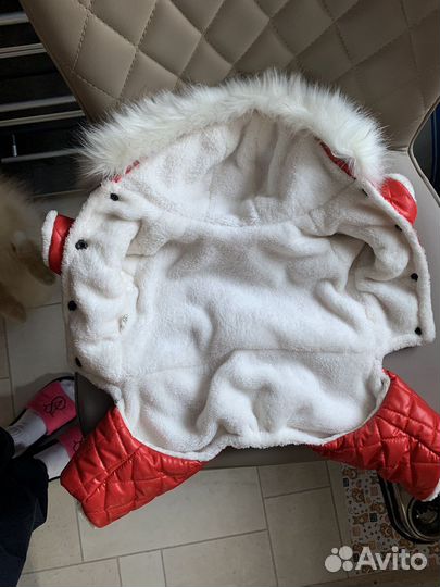 Одежда для маленьких собак