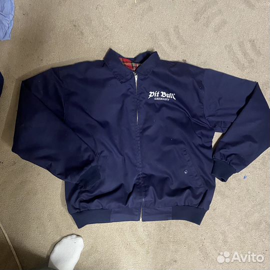 Харингтон pit bull