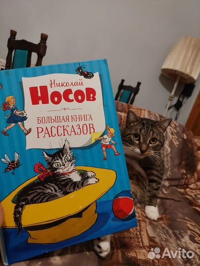 2 книги Н.Носова:Рассказы и Незнайка; + кардиган