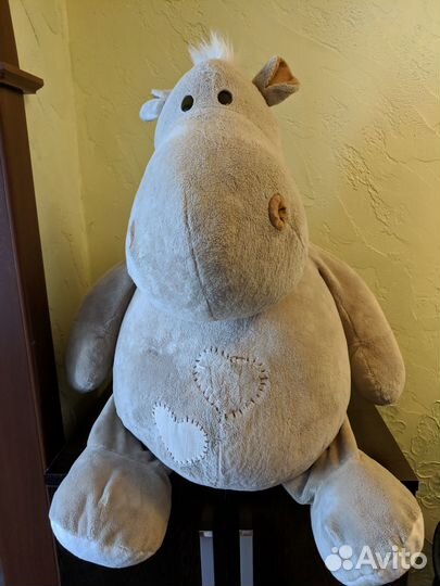 Бегемот большой